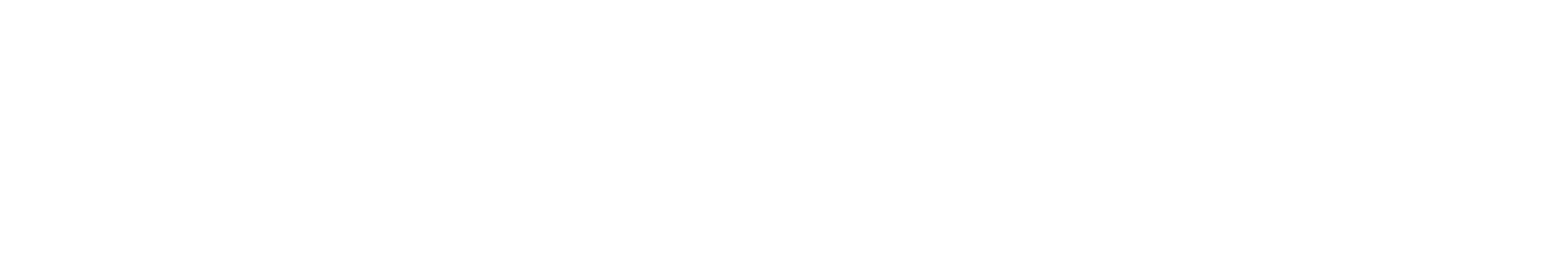 logo process sentry